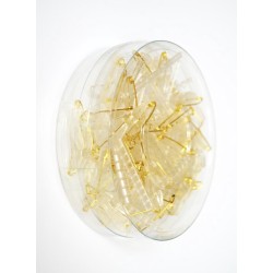 Accessoires fleurites | Boutonnière T | Gala clip