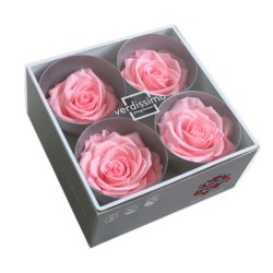 Rose Stabilisée  | Grossiste Fleuristes | Fleurs Artificielles