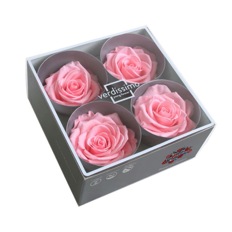 Rose Stabilisée | Grossiste Fleuristes | Fleurs Artificielles Rose Stabilisée | Grossiste Fleuristes | Fleurs Artificielles