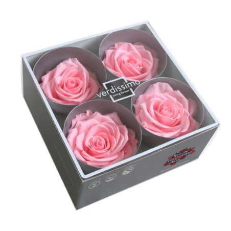 Rose Stabilisée | Grossiste Fleuristes | Fleurs Artificielles Rose Stabilisée | Grossiste Fleuristes | Fleurs Artificielles