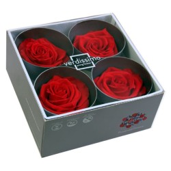 Rose Stabilisée  | Grossiste Fleuristes | Fleurs Artificielles