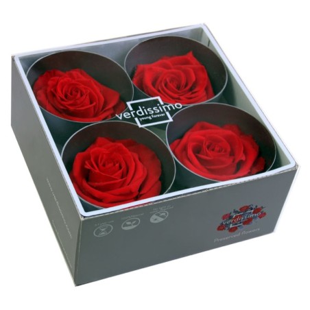 Rose Stabilisée  | Grossiste Fleuristes | Fleurs Artificielles