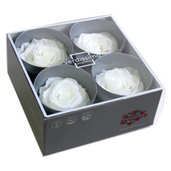 Rose Stabilisée  | Grossiste Fleuristes | Fleurs Artificielles