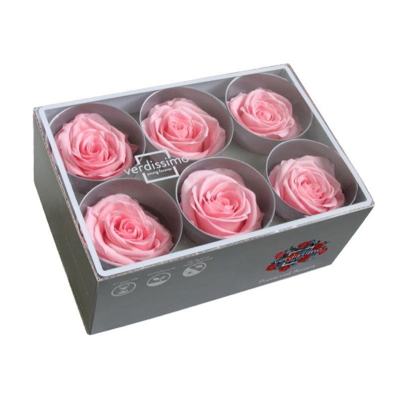 Rose Eternelle | Grossiste Fleuristes | Fleurs stabilisées Rose Eternelle | Grossiste Fleuristes | Fleurs stabilisées