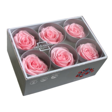 Rose Eternelle | Grossiste Fleuristes | Fleurs stabilisées Rose Eternelle | Grossiste Fleuristes | Fleurs stabilisées