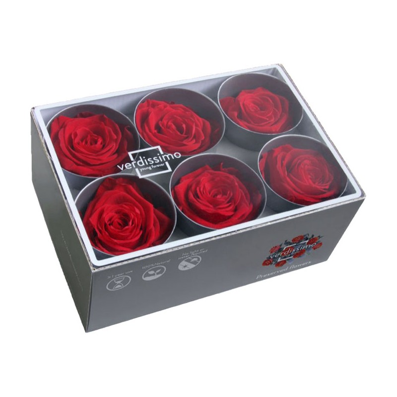 Rose Eternelle | Grossiste Fleuristes | Fleurs stabilisées Rose Eternelle | Grossiste Fleuristes | Fleurs stabilisées