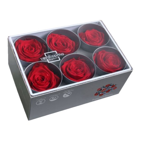 Rose Eternelle | Grossiste Fleuristes | Fleurs stabilisées Rose Eternelle | Grossiste Fleuristes | Fleurs stabilisées