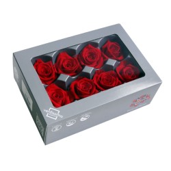 Rose Eternelle | Grossiste Fleuristes | végétal stabilisé