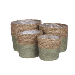 Cache Pot Osier Naturel | Grossiste Fleuriste | Qualité Prix