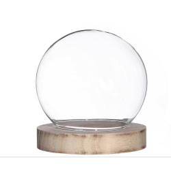 Cloche en Verre  | Grossiste Fleuriste | Artiflor