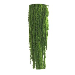 Amaranthe  Stabilisée | Vente en Gros | Qualité Prix