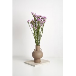 Statice stabilisé  | Grossiste Fleuristes | Fleurs durables