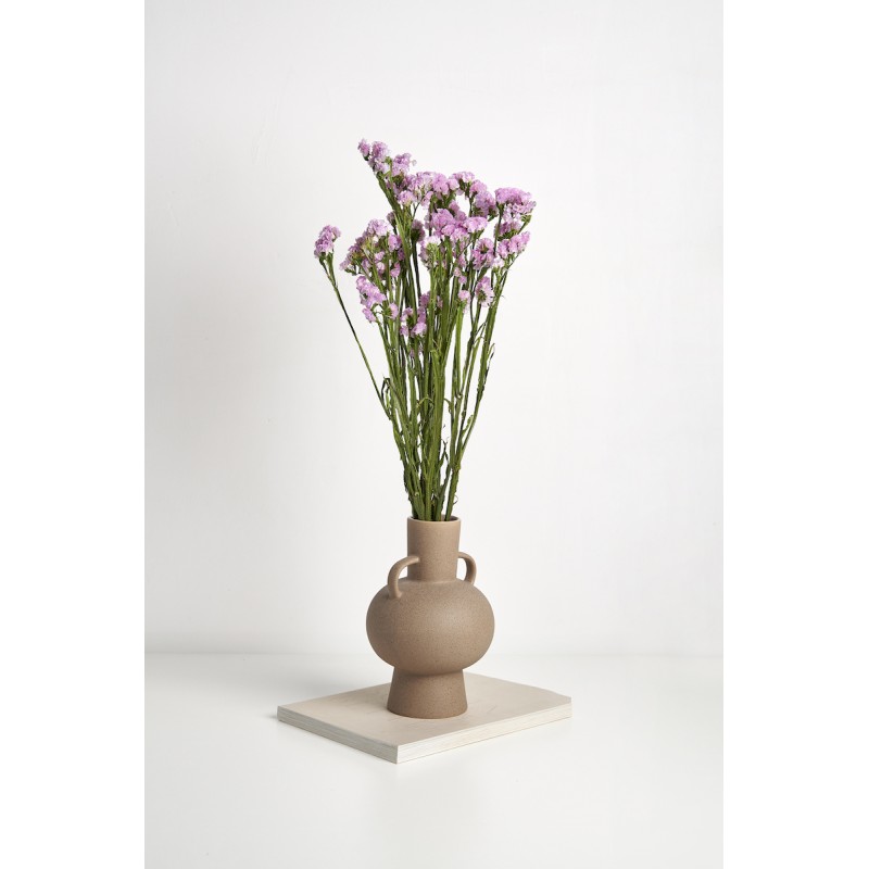 Statice stabilisé  | Grossiste Fleuristes | Fleurs durables