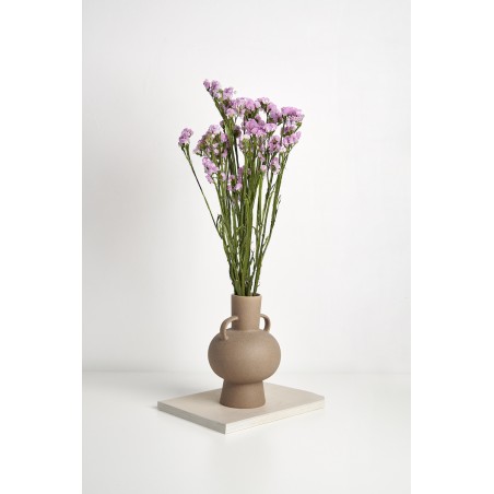 Statice stabilisé  | Grossiste Fleuristes | Fleurs durables