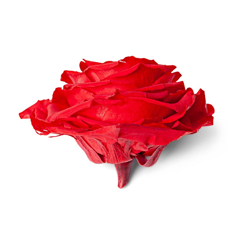 Rose Eternelle forme coeur | Fournisseur Rose Eternelle | Qualité Prix