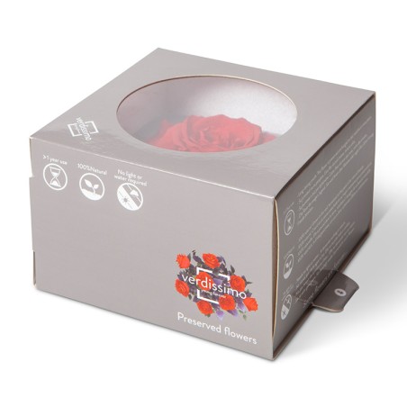 Rose Eternelle forme coeur | Fournisseur Rose Eternelle | Qualité Prix