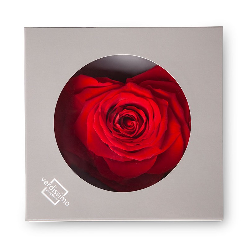 Rose Eternelle forme coeur | Fournisseur Rose Eternelle | Qualité Prix