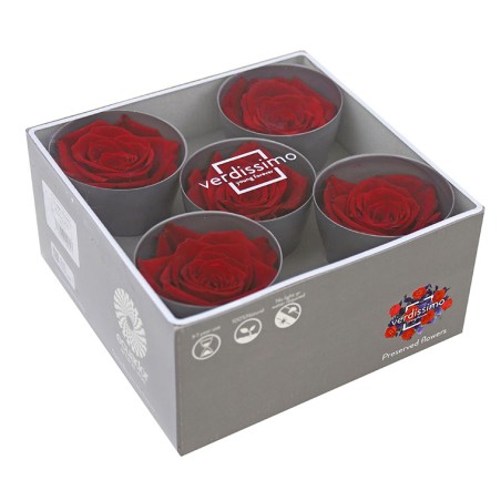 Rose Stabilisée | Grossiste en Fleurs Stabilisées | Qualité Prix