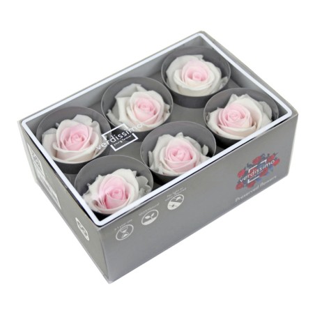 Rose Eternelle | Grossiste Fleuristes | Fleurs stabilisées