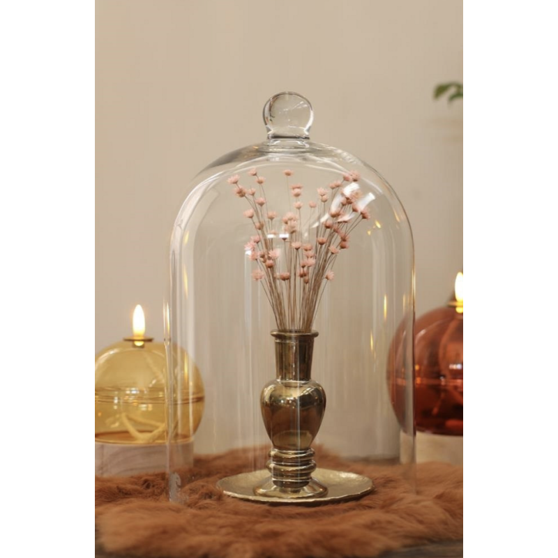 Cloche en Verre Socle Bois | Grossiste Fleuriste | Qualité Prix
