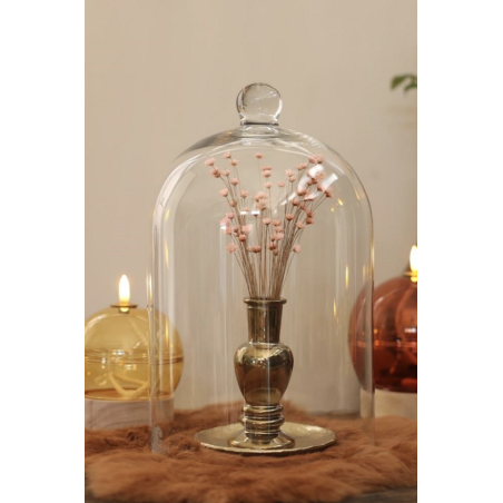 Cloche en Verre Socle Bois | Grossiste Fleuriste | Qualité Prix