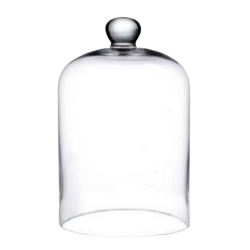 Cloche en Verre Socle Bois | Grossiste Fleuriste | Qualité Prix