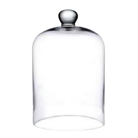 Cloche en Verre Socle Bois | Grossiste Fleuriste | Qualité Prix