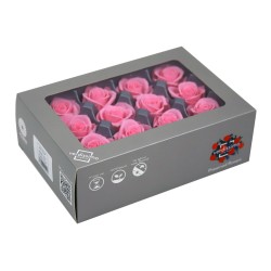 Rose Eternelle | Grossiste Végétaux Stabilisés