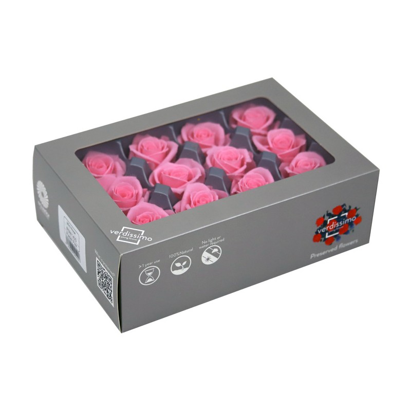 Rose Eternelle | Grossiste Végétaux Stabilisés