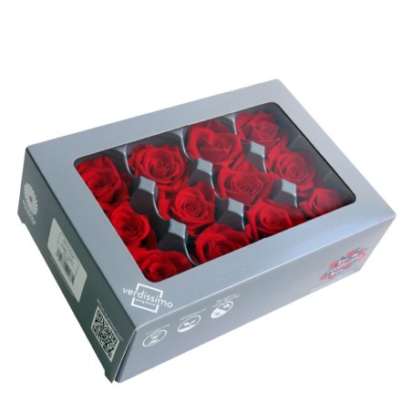Rose Eternelle | Grossiste Végétaux Stabilisés