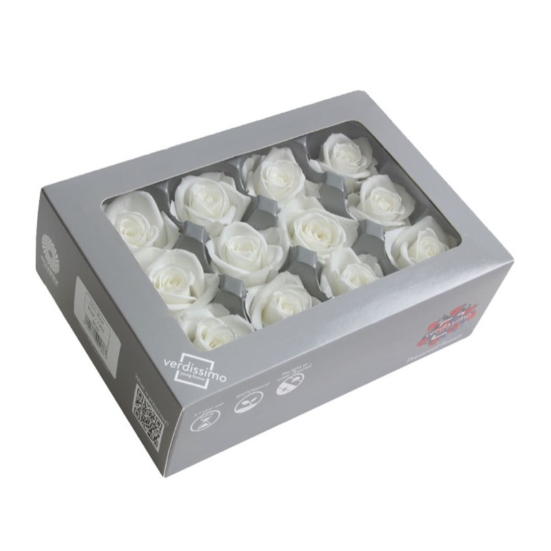 Rose stabilisée Mini - Différentes couleurs