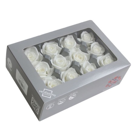 Rose Eternelle | Grossiste Végétaux Stabilisés