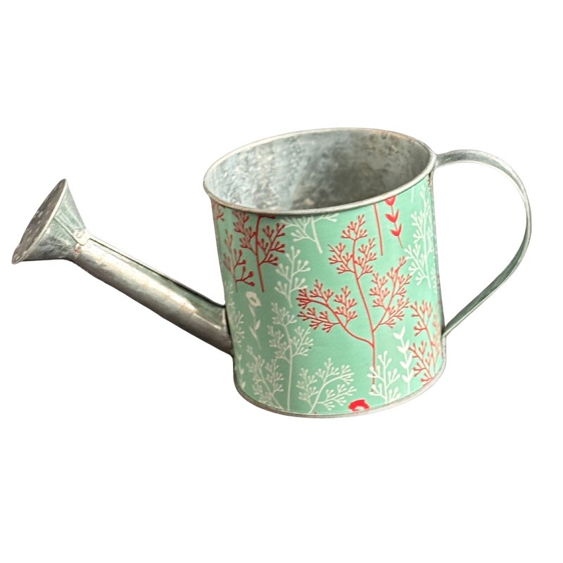 Arrosoir metal  | Grossiste en vase  | Accessoires fleuristes