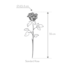 Rose eternelle sur tige | Grossiste Fleuristes | Fleurs Stabilisées