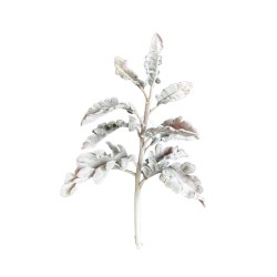 Feuillage Artificiel | Grossiste Plantes Artificielles | Cinéraire