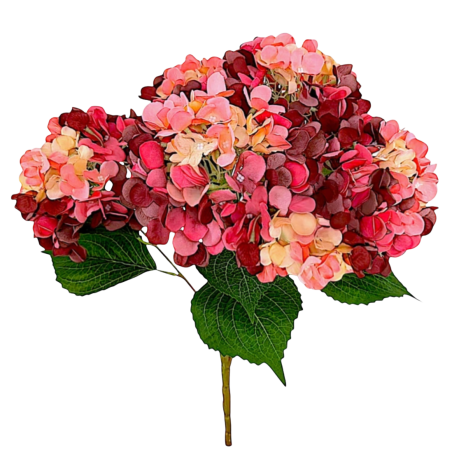 Hortensia Artificiel | Fleurs Artificielles | Qualité prix