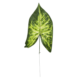 syngonium artificiel | Grossiste fleurs artificielles | Pas cher