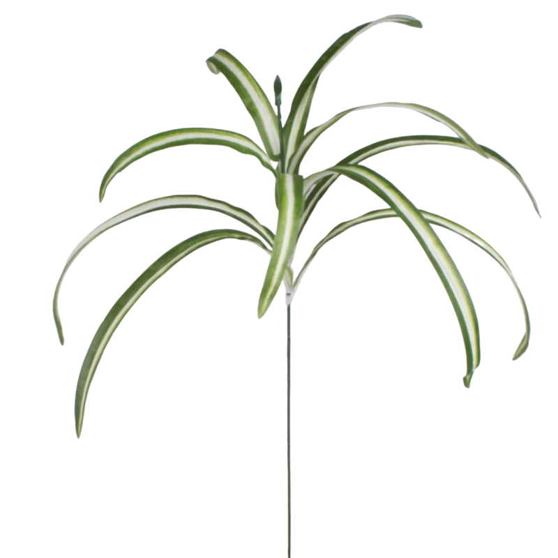 syngonium artificiel | Grossiste fleurs artificielles | Pas cher