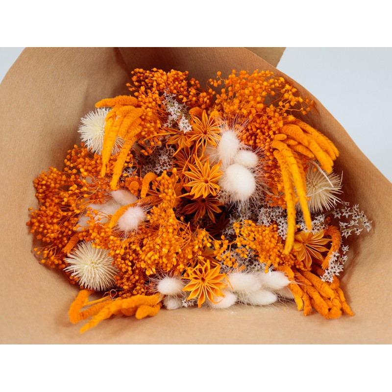 Bouquet de fleurs séchées  | Grossiste Fleuristes | Fleurs durables