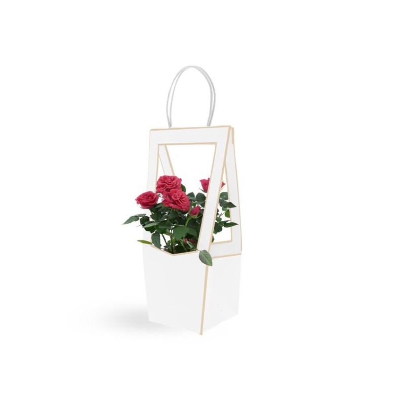 Sac elegant pour bouquet de fleurs | Vente en gros
