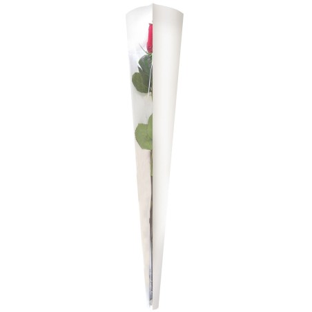 Etui pour roses - 1er Prix  | Grossiste fleuriste