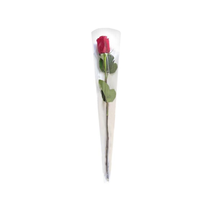Etui pour roses - 1er Prix  | Grossiste fleuriste