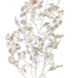 Bouquet de fleurs séchées  | Grossiste Fleuristes | Fleurs durables