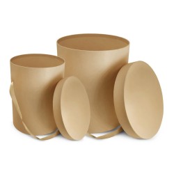 Boîte Carton pour fleurs | Décoration | Grossiste Fleuristes