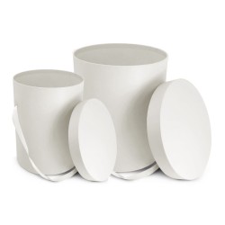 Boîte Carton pour fleurs | Décoration | Grossiste Fleuristes