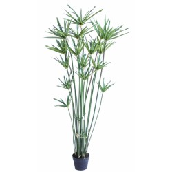 Papyrus artificiel 155 ou 185 cm | Artiflor