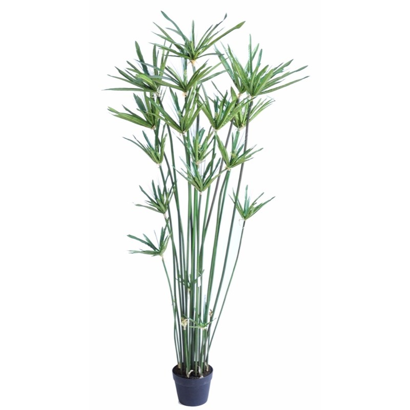 Papyrus artificiel 155 ou 185 cm | Artiflor