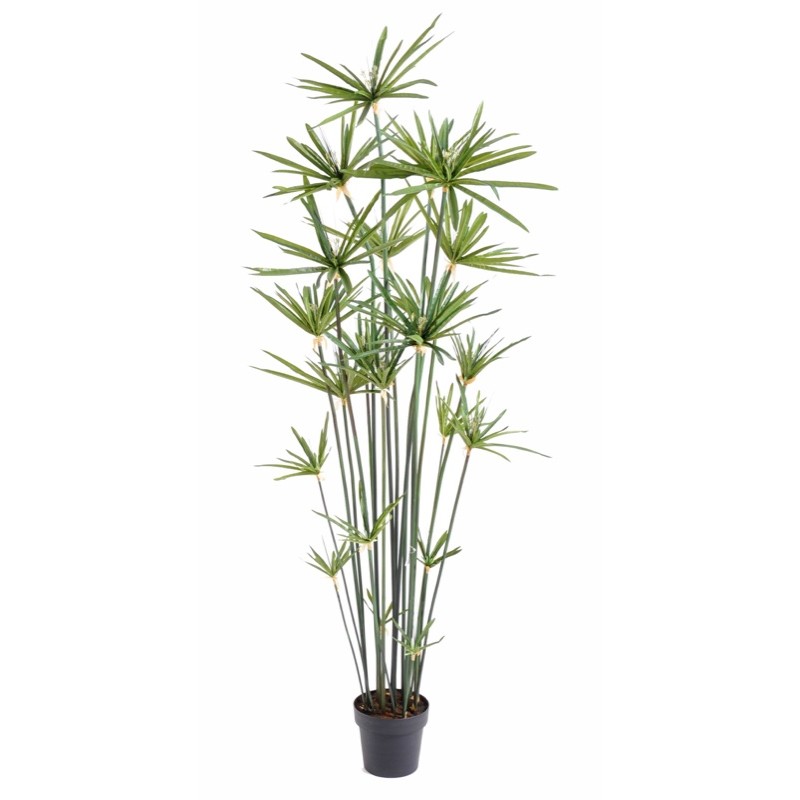 Papyrus artificiel 155 ou 185 cm | Artiflor