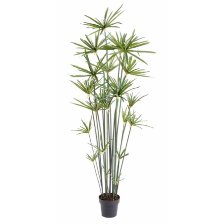Papyrus artificiel 155 ou 185 cm | Artiflor