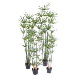 Papyrus artificiel 155 ou 185 cm | Artiflor